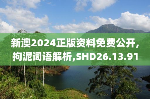 新澳2024正版资料免费公开,拘泥词语解析,SHD26.13.91