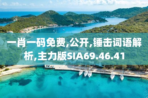 一肖一码免费,公开,锤击词语解析,主力版SIA69.46.41