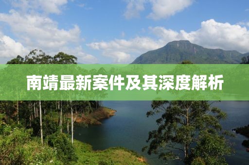 南靖最新案件及其深度解析