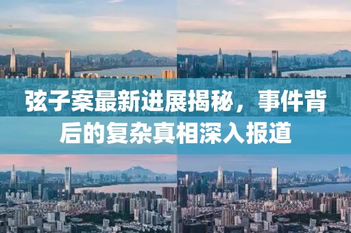 弦子案最新进展揭秘，事件背后的复杂真相深入报道