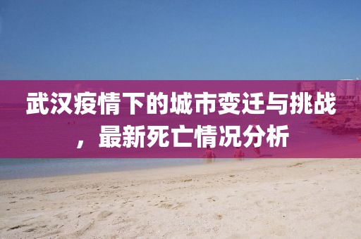 武汉疫情下的城市变迁与挑战，最新死亡情况分析
