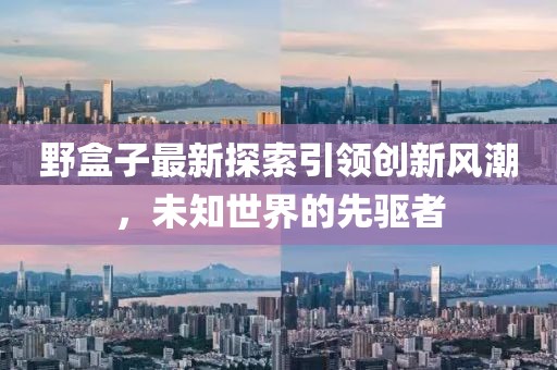 野盒子最新探索引领创新风潮，未知世界的先驱者