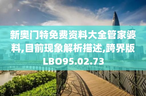 新奥门特免费资料大全管家婆料,目前现象解析描述,跨界版LBO95.02.73