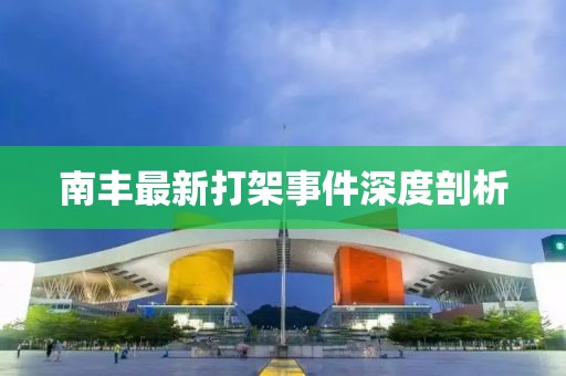 南丰最新打架事件深度剖析