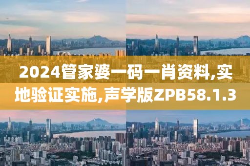 2024管家婆一码一肖资料,实地验证实施,声学版ZPB58.1.30