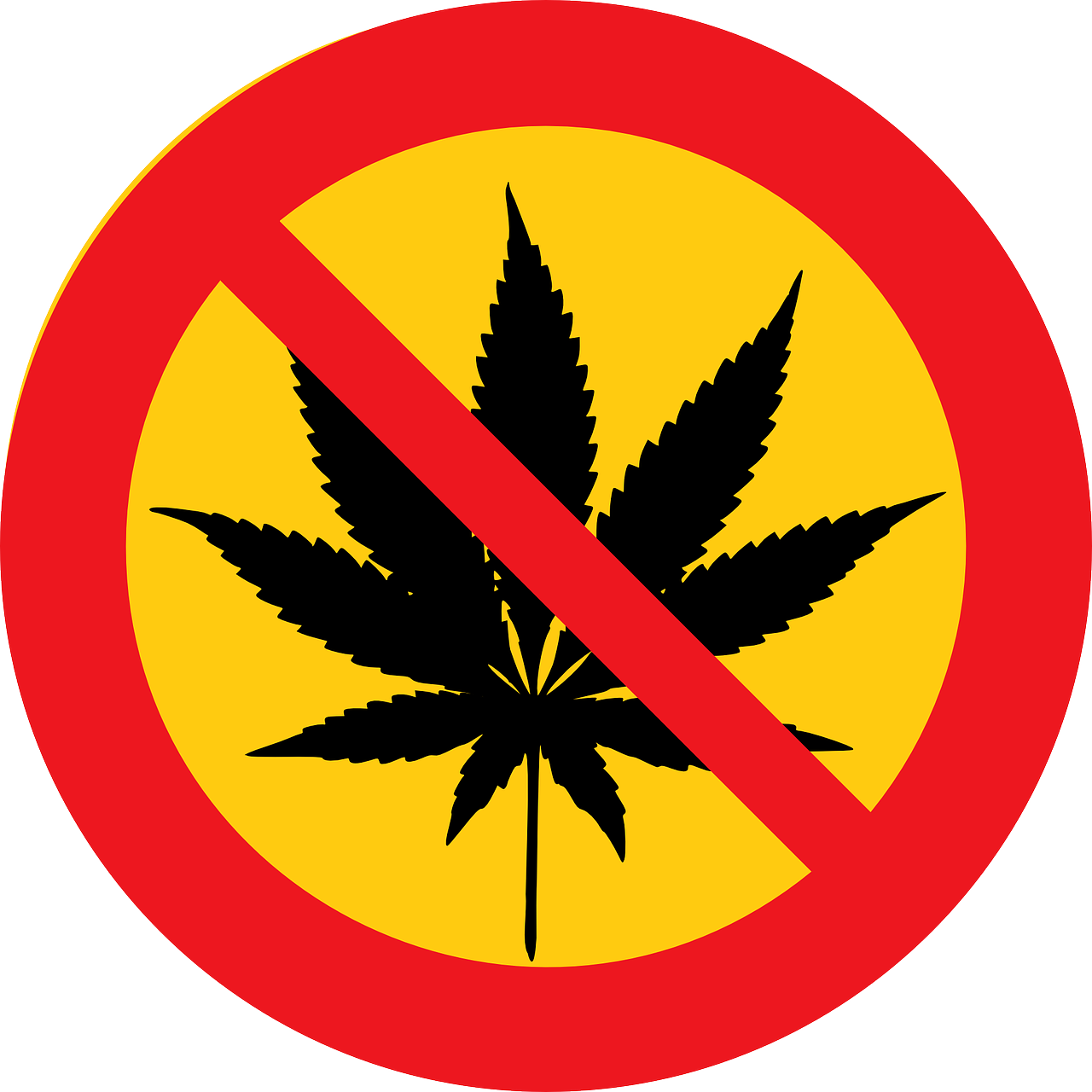 巷小苒 第19页